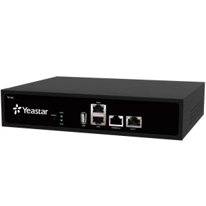 Yeastar te100