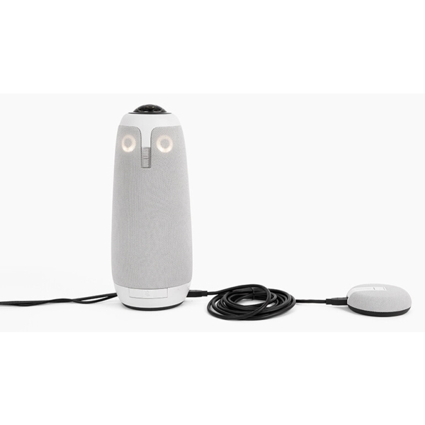 Meeting owl 3